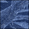 Frost on car